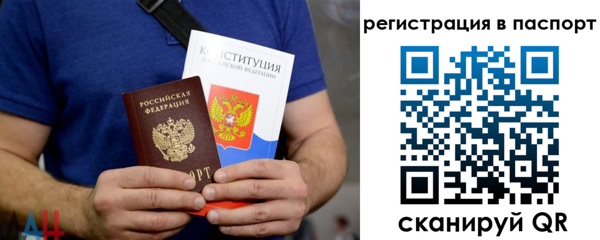 прописка гарантия в Клинцах